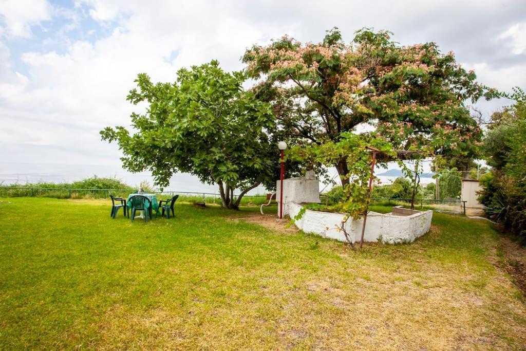 Mola Kaliva Sea View, 100M From The Beach! Экстерьер фото